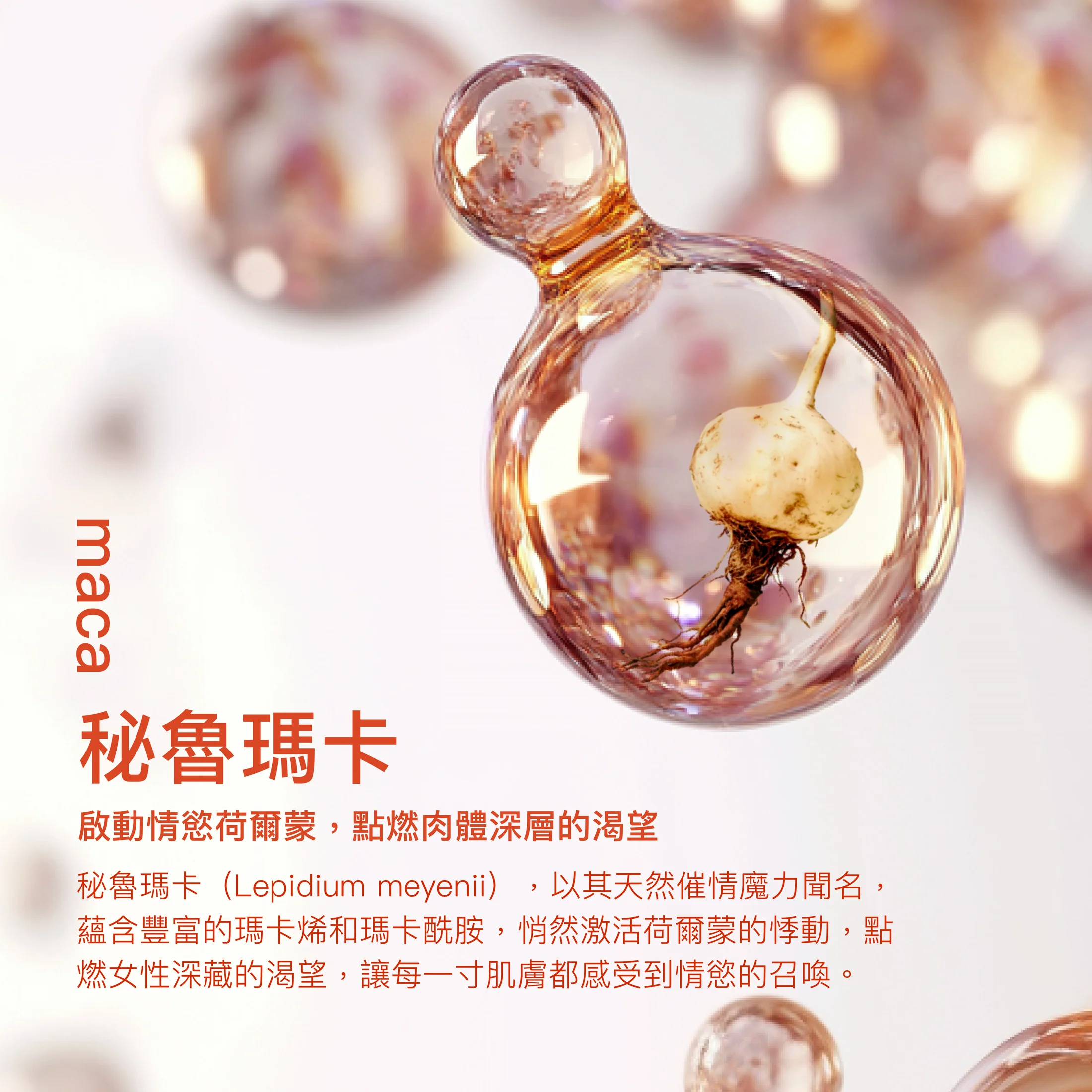 PLAY＆ JOY 超熱感按摩二合一 水性潤滑劑 250ml(新舊包裝隨機發放)