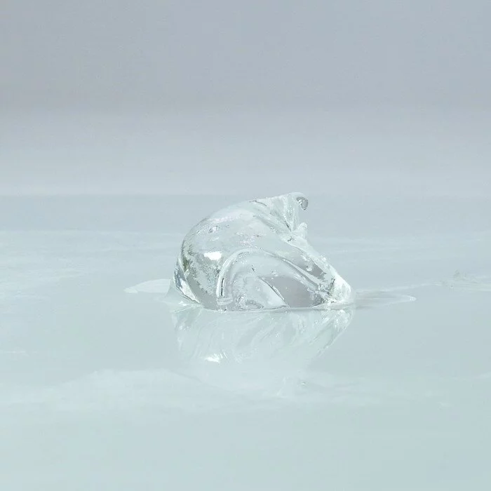 SSI Japan 絶頂 即効瞬殺の極【女性用】12g