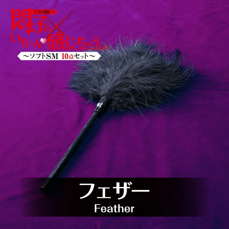 T-Best 我感覺我在痛苦中 BDSM 10件套裝